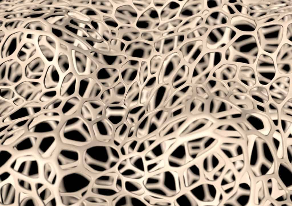 Fibrous tissue for myofascial release Fibrous tissue for myofascial release